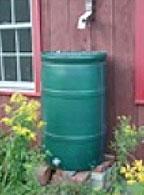 Rain Barrel