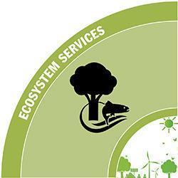 Ecosystem Services