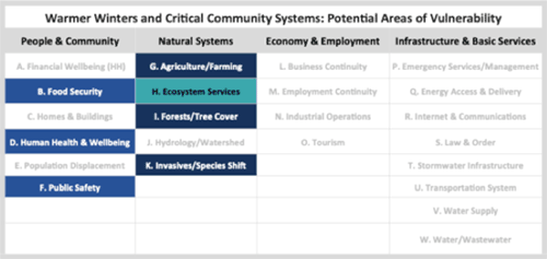 Potential Areas of Vulnerability