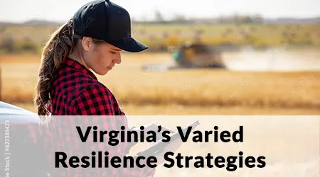 Virginia's Varied Resilience Strategies