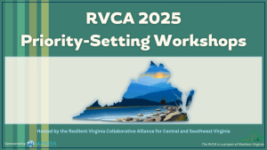 RVCA 2025 Priority-Setting Workshops