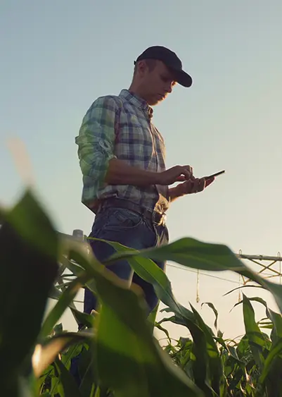 RVCA's Agriculture Working Group brings together cross-sector experts from government, the private sector, nonprofits, and academics from across Central and Southwest Virginia’s agriculture and food systems sector.