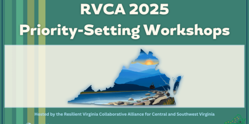 RVCA 2025 Priority-Setting Workshops