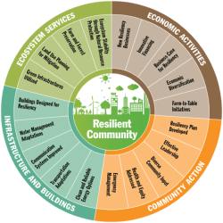 Factors of Resilient Communities